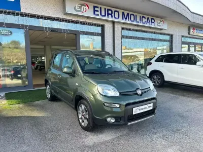 Usata Fiat Panda 4x4 75 CV (55 kW) 2012 Verde Utilitaria