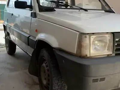 Usata Fiat Panda 4x4 54 CV (39 kW) 1998 Bianco Utilitaria