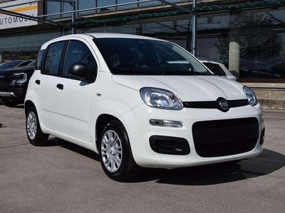 Nuova Fiat Panda Icon 65 CV (47 kW) 2026 Bianco gelato Utilitaria