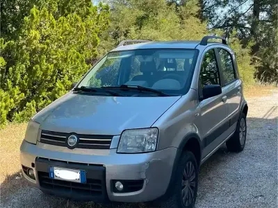 Usata Fiat Panda 4x4 Climbing 69 CV (50 kW) 2006 Grigio Utilitaria