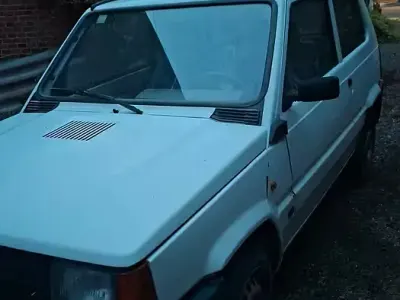 Usata Fiat Panda