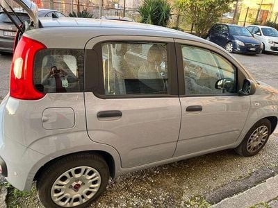 Usata Fiat Panda City Life 69 CV (50 kW) 2022 Utilitaria