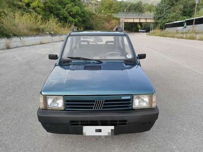 usata Fiat Panda 4x4 Panda 1.1 Country Club bl.porte/alz.elet.