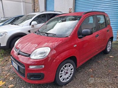 Usata Fiat Panda 80 CV (58 kW) 2013 Utilitaria