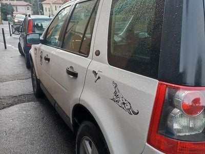 Usata Land Rover Freelander 2 190 CV (139 kW) 2010 Bianco SUV