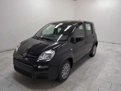 usata Fiat Panda 1.0 firefly Hybrid City Life - - 5 posti - - -