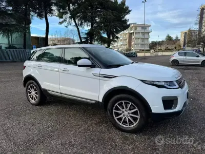 Usata Land Rover Range Rover evoque 150 CV (110 kW) 2016 Bianco SUV