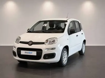 Usata Fiat Panda Easy 69 CV (50 kW) 2019 Bianco Utilitaria