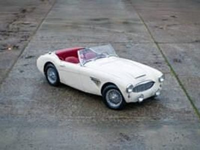 Usata Austin Healey 100/6 102 CV (75 kW) 1957 Bianco Cabrio