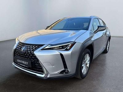 Usata Lexus UX 250h Business Edition 184 CV (135 kW) 2022 Other SUV