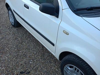 Usata Fiat Panda Dynamic 51 CV (37 kW) 2009 Bianco Berlina