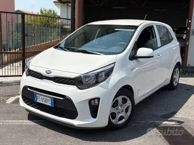 Usata Kia Picanto 67 CV (49 kW) 2017 Bianco Utilitaria