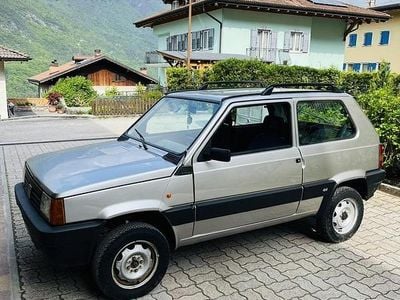 Usata Fiat Panda 4x4 54 CV (39 kW) 2003 Grigio Utilitaria