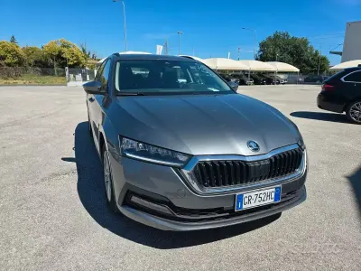 Usata Skoda Octavia Ambition 116 CV (85 kW) 2023 Grigio Station wagon