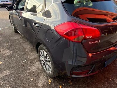 usata Kia Ceed Ceed /1.6 crdi Business 110cv