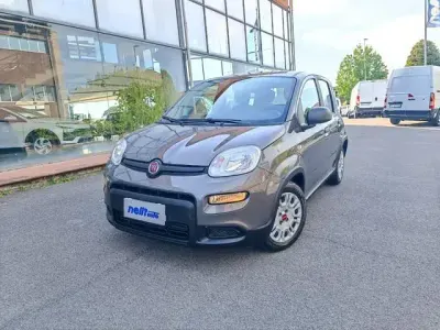 Usata Fiat Panda S 69 CV (50 kW) 2023 Grigio Utilitaria