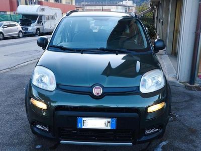 Usata Fiat Panda 4x4 S 85 CV (62 kW) 2019 Verde Utilitaria