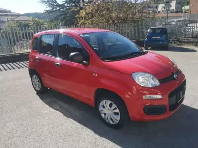 Usata Fiat Panda Easy 69 CV (50 kW) 2017 Rosso Utilitaria