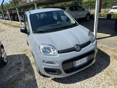 Usata Fiat Panda Pop 69 CV (50 kW) 2019 Grigio Utilitaria