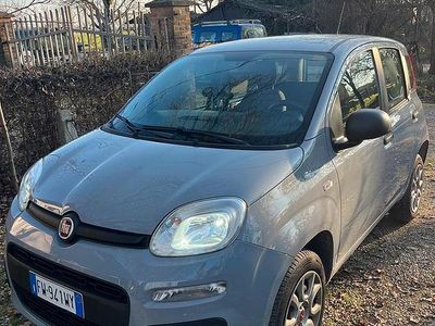 Usata Fiat Panda Classica 77 CV (56 kW) 2019 Grigio Utilitaria