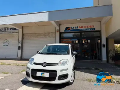 Usata Fiat Panda Easy 69 CV (50 kW) 2016 Bianco Utilitaria
