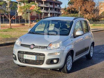 usata Fiat Panda Panda1.2 Easy