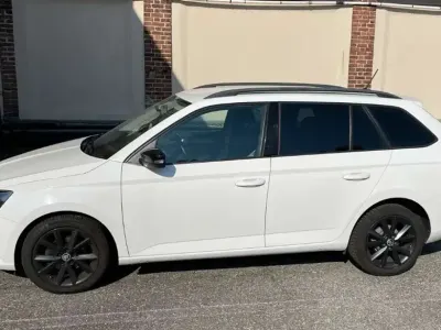 Usata Skoda Fabia