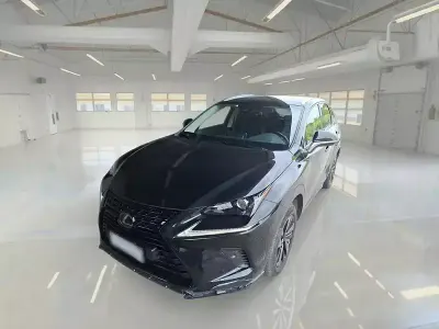 Usata Lexus NX300h