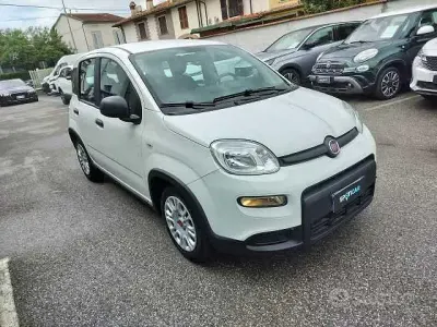 Usata Fiat Panda S 70 CV (51 kW) 2024 Bianco Utilitaria