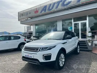 Usata Land Rover Range Rover evoque SE 150 CV (110 kW) 2016 Bianco SUV