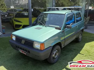 Usata Fiat Panda 4x4 Trekking 54 CV (39 kW) 2000 Verde Utilitaria