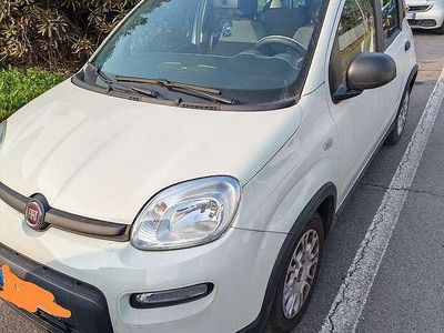 Usata Fiat Panda Cross Cross 69 CV (50 kW) 2023 Utilitaria