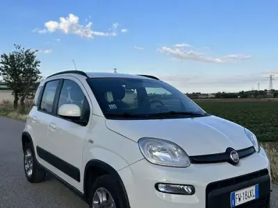 Usata Fiat Panda Easy 95 CV (69 kW) 2019 Utilitaria