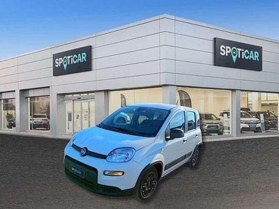Usata Fiat Panda S 70 CV (51 kW) 2023 Bianco Berlina