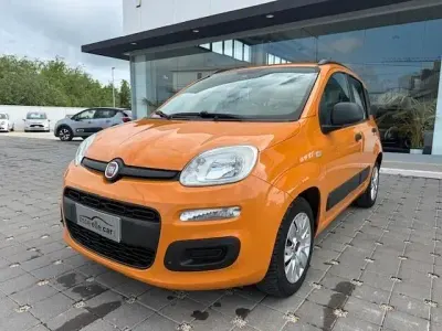 Usata Fiat Panda Easy 95 CV (69 kW) 2016 Arancione Utilitaria