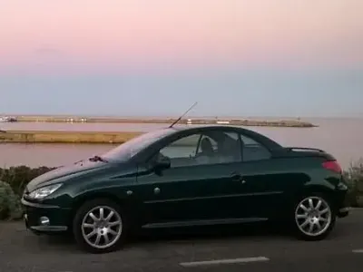 Usata Peugeot 206 CC Roland Garros 109 CV (80 kW) 2004 Verde Cabrio