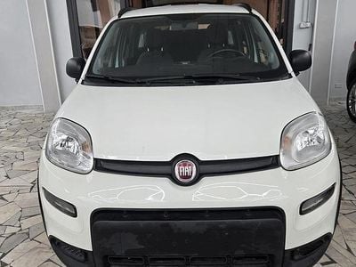 Usata Fiat Panda 4x4 S 69 CV (50 kW) 2019 Bianco Utilitaria