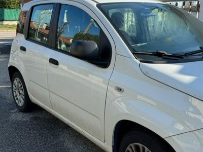 usata Fiat Panda Panda 1.2 Easy