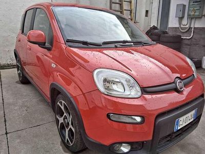 Usata Fiat Panda Sport 69 CV (50 kW) 2022 Rosso Utilitaria