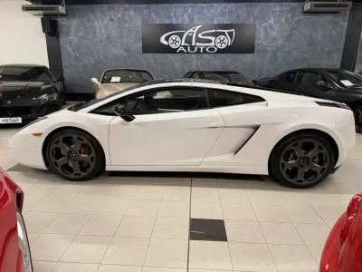Usata Lamborghini Gallardo