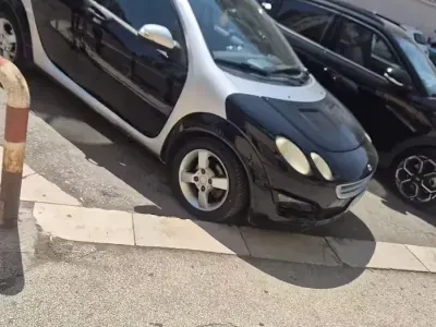 Usata Smart ForFour