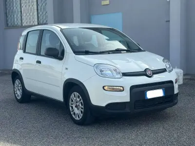 Usata Fiat Panda City Life 69 CV (50 kW) 2023 Bianco gelato Utilitaria