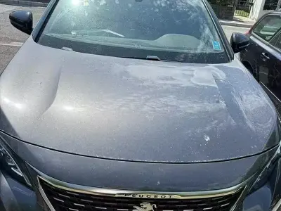 Usata Peugeot 3008 GT-line 120 CV (88 kW) 2019 Grigio SUV