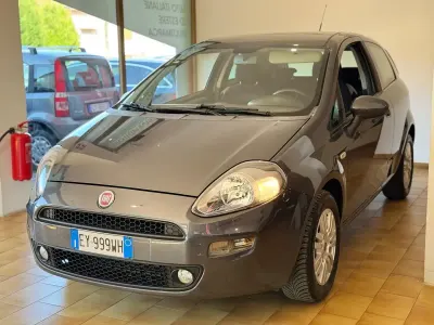 Usata Fiat Punto Young 75 CV (55 kW) 2015 Grigio Utilitaria