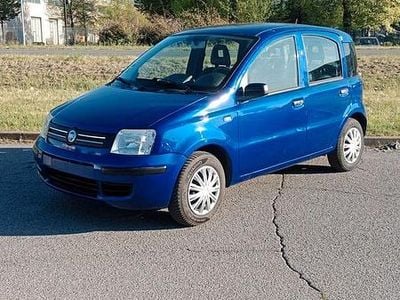 Usata Fiat Panda Active 54 CV (39 kW) 2009 Blu Utilitaria