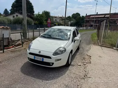 Usata Fiat Punto Lounge 95 CV (69 kW) 2016 Bianco Utilitaria