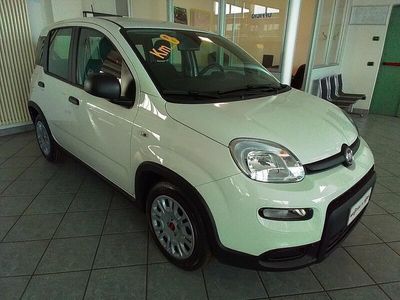 usata Fiat Panda 1.0 FireFly S&S Hybrid Easy nuovo