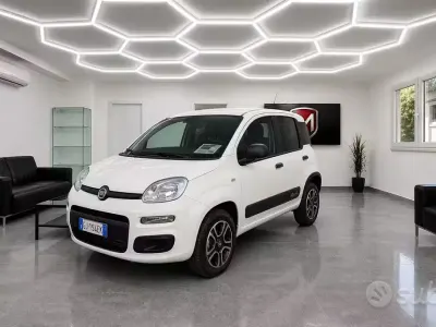 Usata Fiat Panda 4x4 Pop 85 CV (62 kW) 2022 Bianco Utilitaria