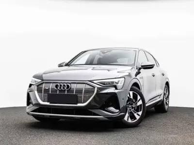 Usata Audi e-tron
