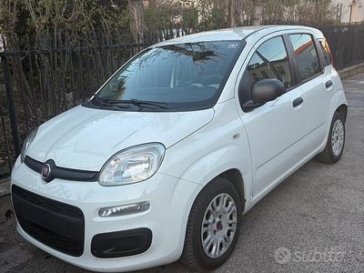 Usata Fiat Panda 95 CV (69 kW) 2015 Bianco Utilitaria